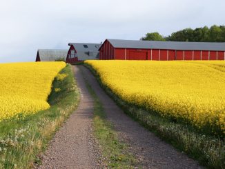 Lantbrukslandskap i Sverige