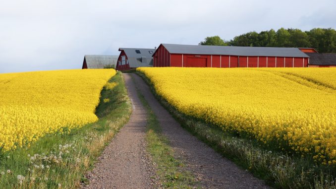 Lantbrukslandskap i Sverige