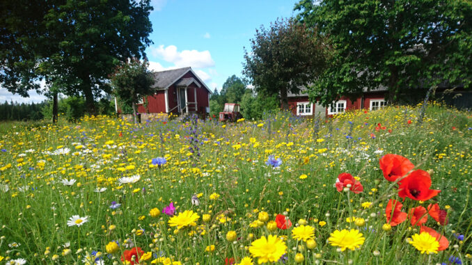 Bevarar insekters och pollinatörers värdväxter