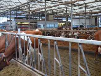 Stora utmaningar för nederländska mjölkföretagare